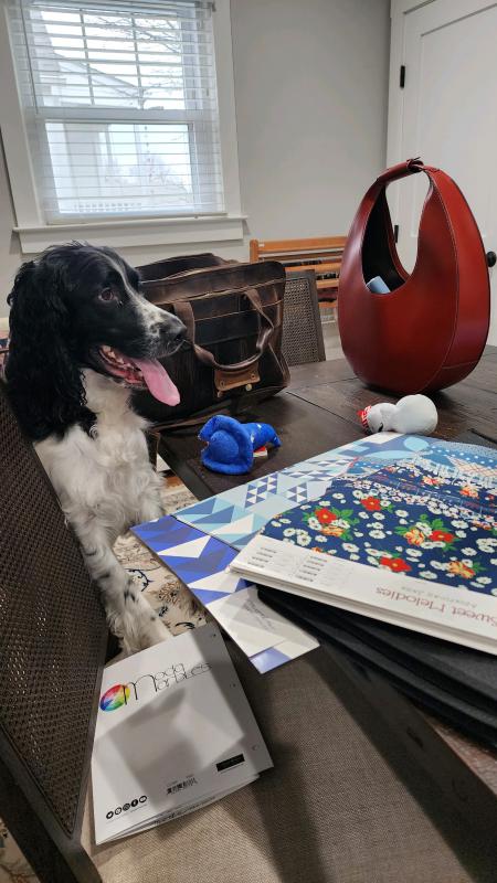 Pup with Samples