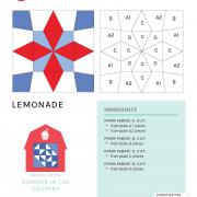 05_lemonade_instructions-printer-friendly.jpg 05_lemonade_instructions-printer-friendly.jpg